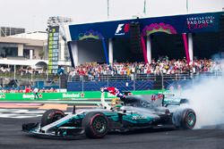 Wereldkampioen 2017 Lewis Hamilton, Mercedes AMG F1
