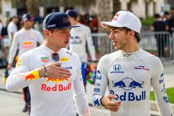 Max Verstappen, Red Bull Racing and Pierre Gasly, Scuderia Toro Rosso