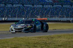 #86 Michael Shank Racing Acura NSX: Katherine Legge, Alvaro Parente, Trent Hindman, A.J. Allmendinger