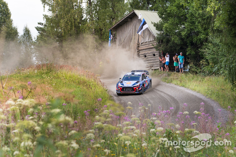 Thierry Neuville, Nicolas Gilsoul, Hyundai i20 WRC, Hyundai Motorsport