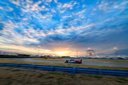 #67 Chip Ganassi Racing Ford GT, GTLM: Ryan Briscoe, Richard Westbrook, Scott Dixon