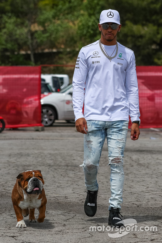 Lewis Hamilton, Mercedes AMG F1 y su perro Roscoe