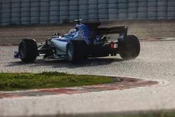Marcus Ericsson, Sauber C36