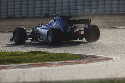 Marcus Ericsson, Sauber C36