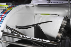 Williams FW40, appendice aerodinamica