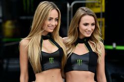 Grid girls Monster Energy