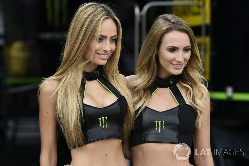 Grid girls Monster Energy