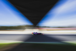 Daniil Kvyat, Scuderia Toro Rosso STR12
