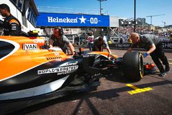 Stoffel Vandoorne, McLaren MCL32