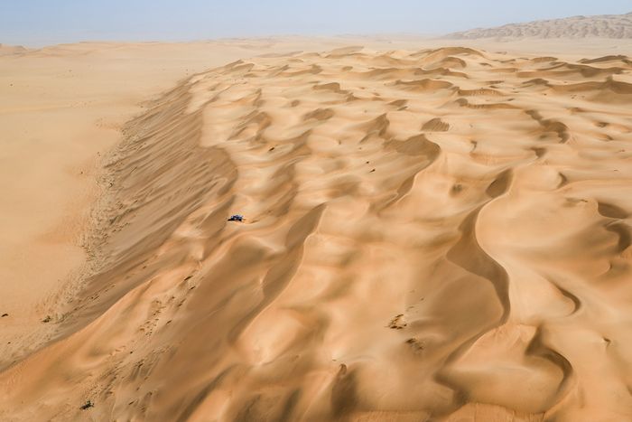 #225 Ford M-Sport Ford: Carlos Sainz Sr, Lucas Cruz