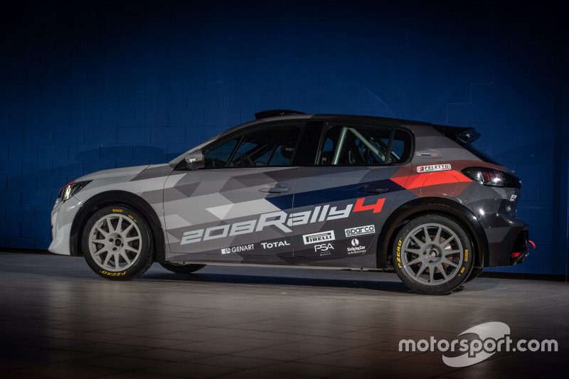 Dettagli Peugeot 208 Rally4