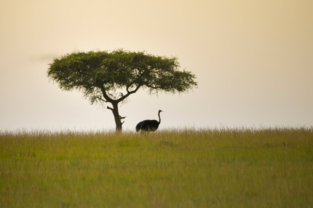 Atmosfer di Kenya