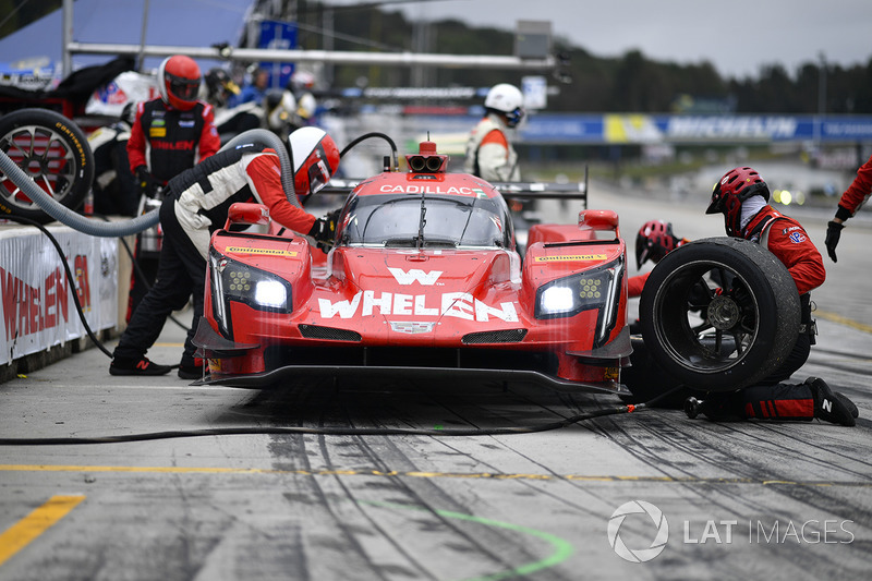 #31 Action Express Racing Cadillac DPi: Eric Curran, Dane Cameron, Mike Conway