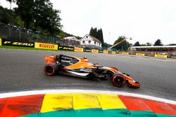 Стоффель Вандорн, McLaren MCL32
