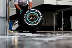 Шина Pirelli