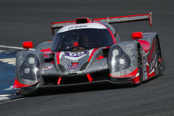 #65 Viper Niza Racing Ligier JS P3: Douglas Khoo, Dominic Ang, Nigel Moore