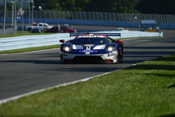 #66 Chip Ganassi Racing Ford GT, GTLM: Dirk Müller, Joey Hand