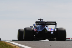 Brendon Hartley, Toro Rosso STR13