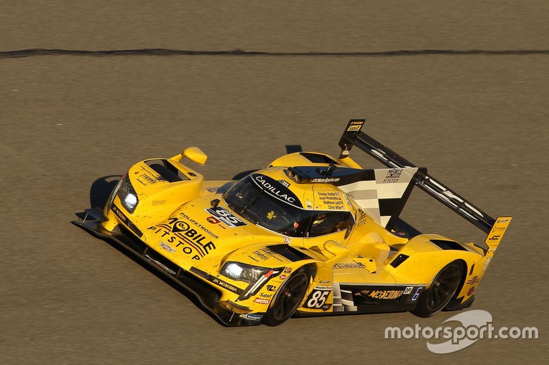 #85 JDC-Miller Motorsports Cadillac DPi: Matheus Leist, Chris Miller, Tristan Vautier, Juan Piedrahita