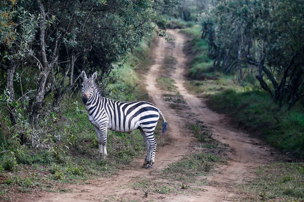 Atmosphere in Kenya