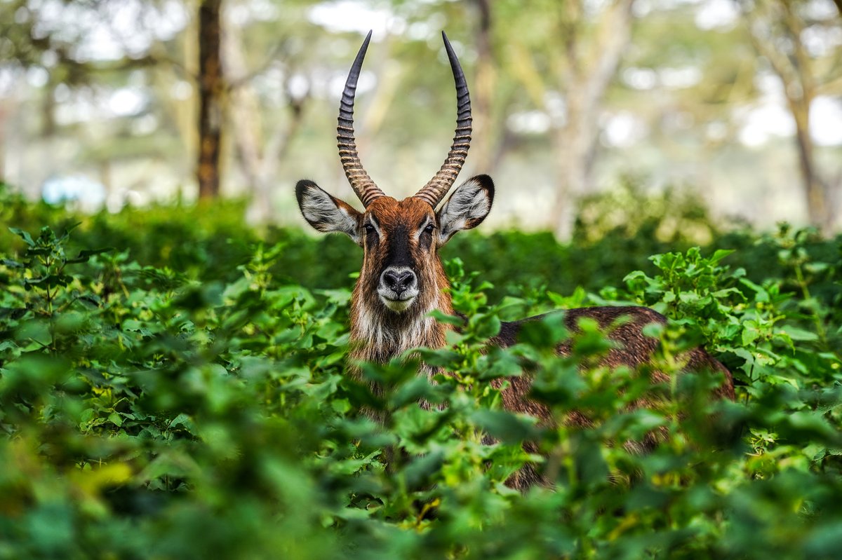 Atmosphere in Kenya