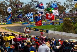 Scott Pye, Tony D'alberto, DJR Team Penske