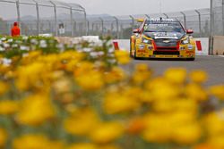 Tom Coronel, Roal Motorsport, Chevrolet RML Cruze TC1