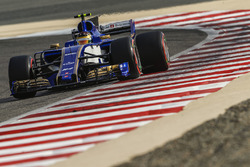 Pascal Wehrlein, Sauber C36-Ferrari
