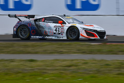 #43 RealTime Racing Acura NSX GT3: Ryan Eversley