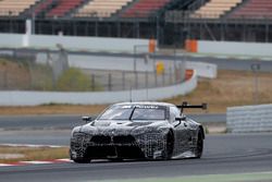 Martin Tomczyk, BMW M8 GTE