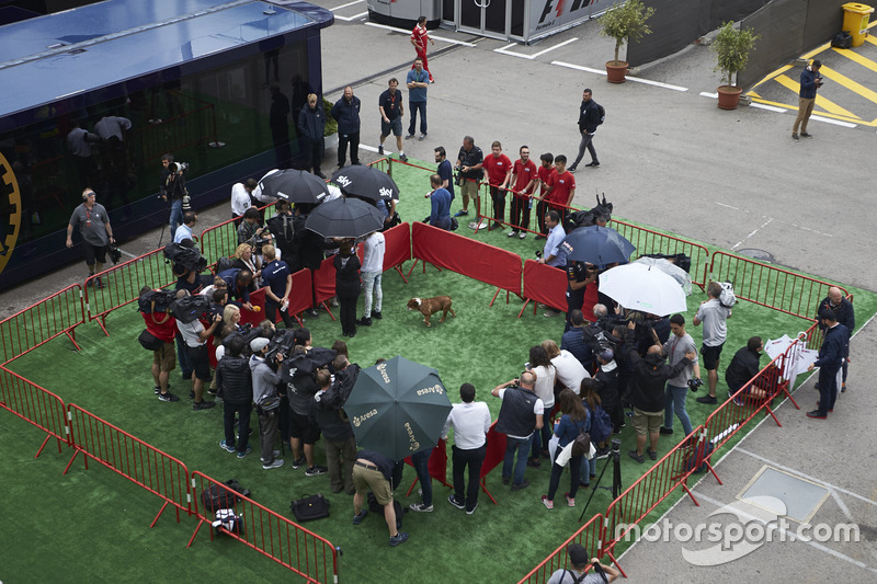 Lewis Hamilton, Mercedes AMG F1, y su perro Roscoe con los medios