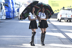 Des gridgirls