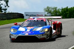 #67 Ford Performance Chip Ganassi Racing Ford GT: Ryan Briscoe, Richard Westbrook