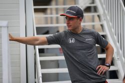 Stoffel Vandoorne, McLaren