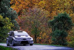 Tommi Makinen, Toyota Yaris WRC 2017