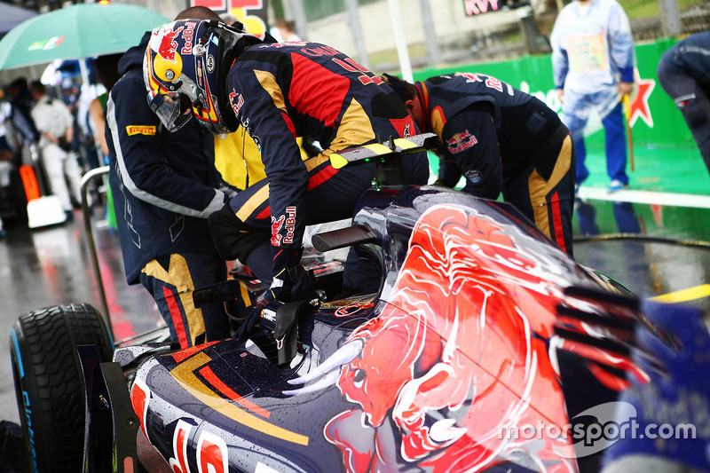 Carlos Sainz Jr., Scuderia Toro Rosso STR11 on the grid