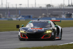 #86 Michael Shank Racing Acura NSX: Oswaldo Negri Jr., Jeff Segal, Tom Dyer, Ryan Hunter-Reay
