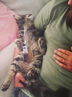 Stefano Comini e il suo gatto