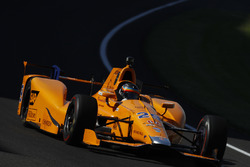 Фернандо Алонсо, Andretti Autosport Honda