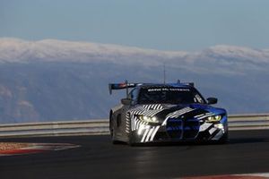 BMW M4 GT3, BMW M Motorsport