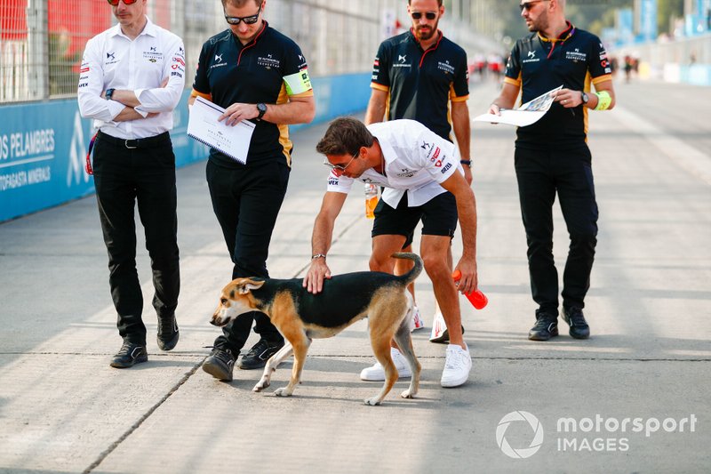 Antonio Felix da Costa, DS Techeetah, DS E-Tense FE20 strokes a stray dog