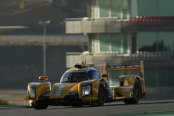 Frits van Eerd, Jan Lammers, Racing Team Nederland, Dallara P217