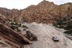 #303 Peugeot Sport Peugeot 3008 DKR: Carlos Sainz, Lucas Cruz