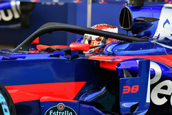 Sean Gelael, Scuderia Toro Rosso STR12