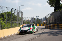 Norbert Michelisz, Honda Racing Team JAS, Honda Civic WTCC