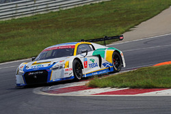 Alex Yoong, Audi TEDA Racing Team