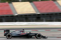 Stoffel Vandoorne, pilote d'essais et de réserve McLaren MP4-31