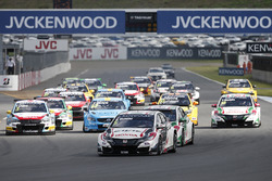 Départ : Norbert Michelisz, Honda Racing Team JAS, Honda Civic WTCC en tête
