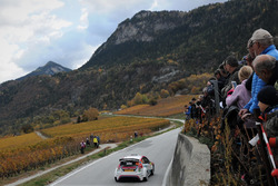 Bernd Casier, Pieter Vyncke, Ford Fiesta R5, Duimdistel