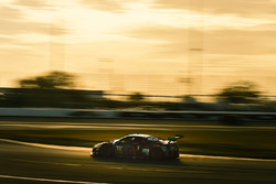 #86 Michael Shank Racing Acura NSX, GTD: Katherine Legge, Alvaro Parente, Trent Hindman, A.J. Allmendinger